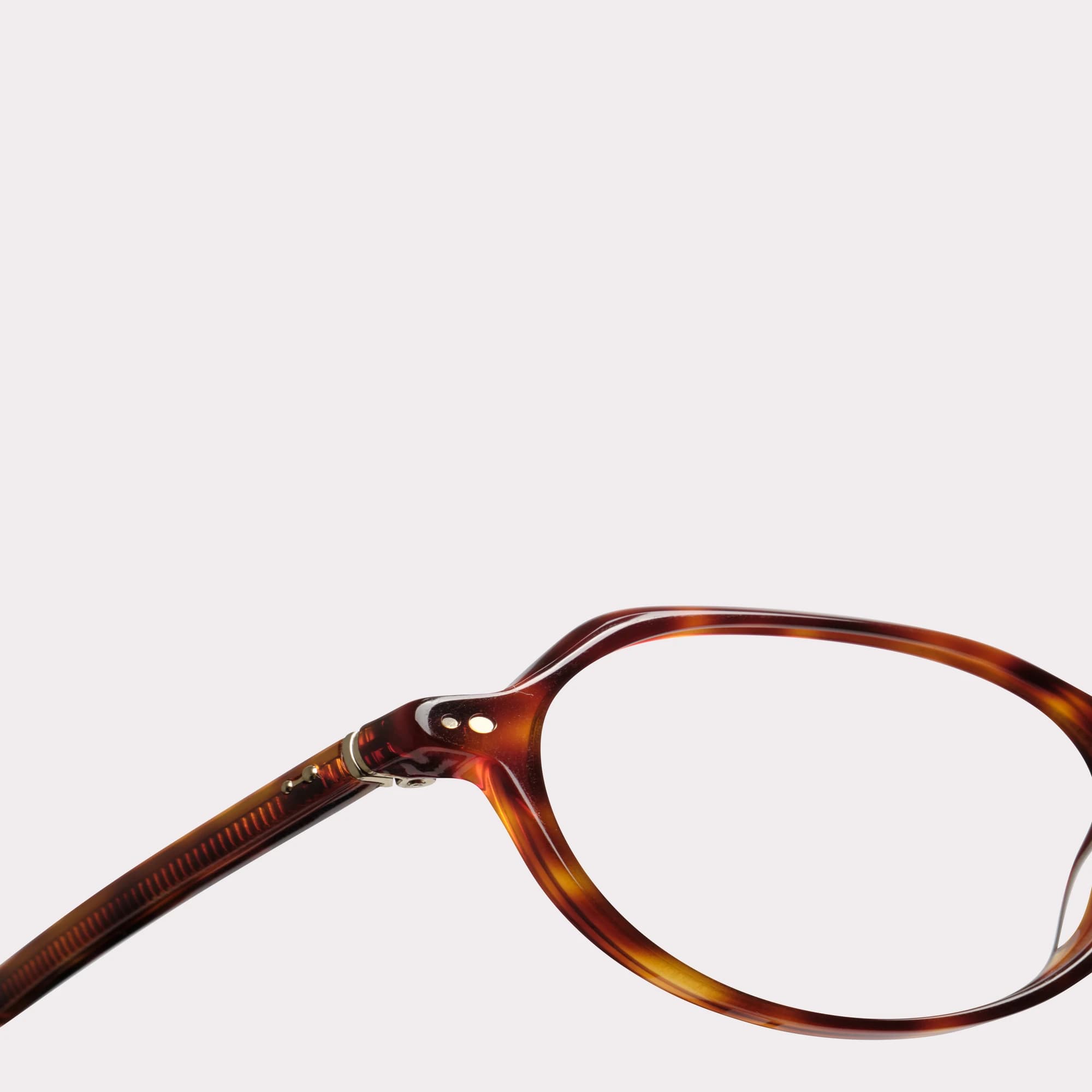 Une paire de Gaya Tortoise Lunettes de lecture en vue macro