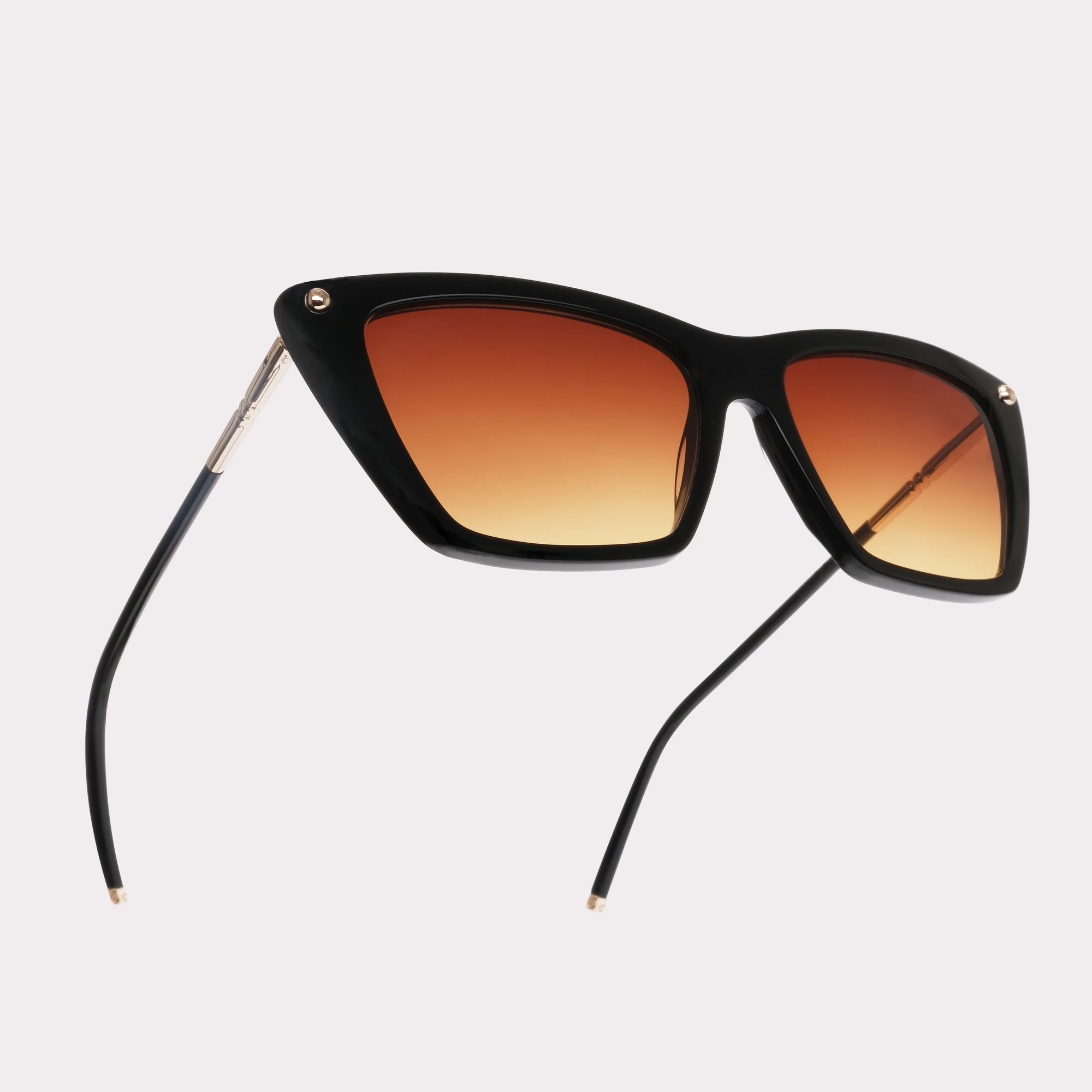 Ein Paar Cameron Schwarz Sonnenbrille in der Makroansicht
