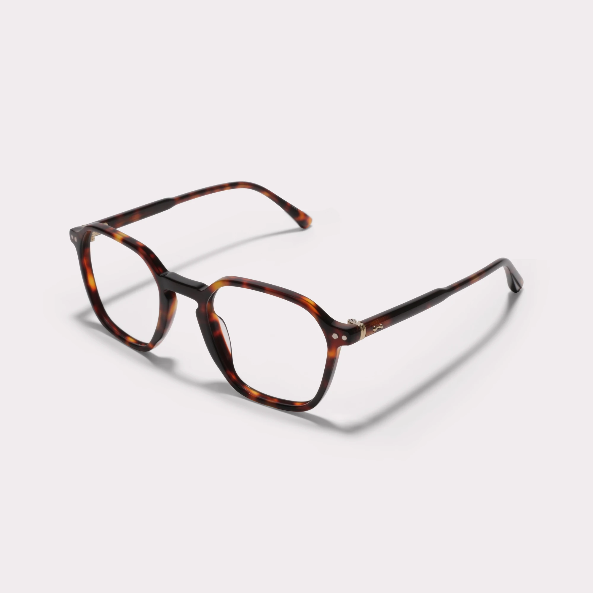 Une paire de Aaron Tortoise Lunettes sur prescription vue de côté