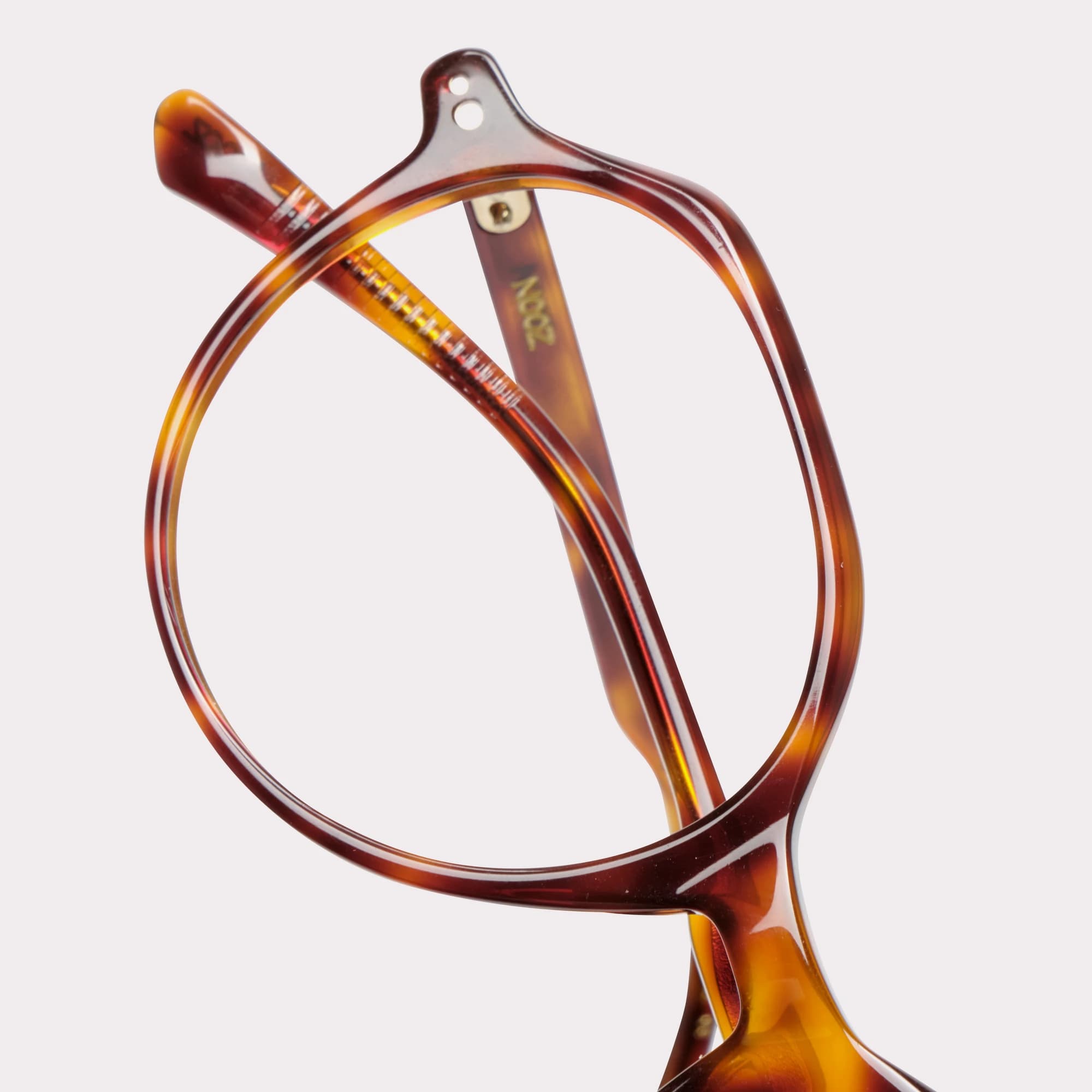 Une paire de Gaya Tortoise Lunettes de lecture en vue macro