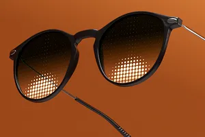 Bifocal sunglasses