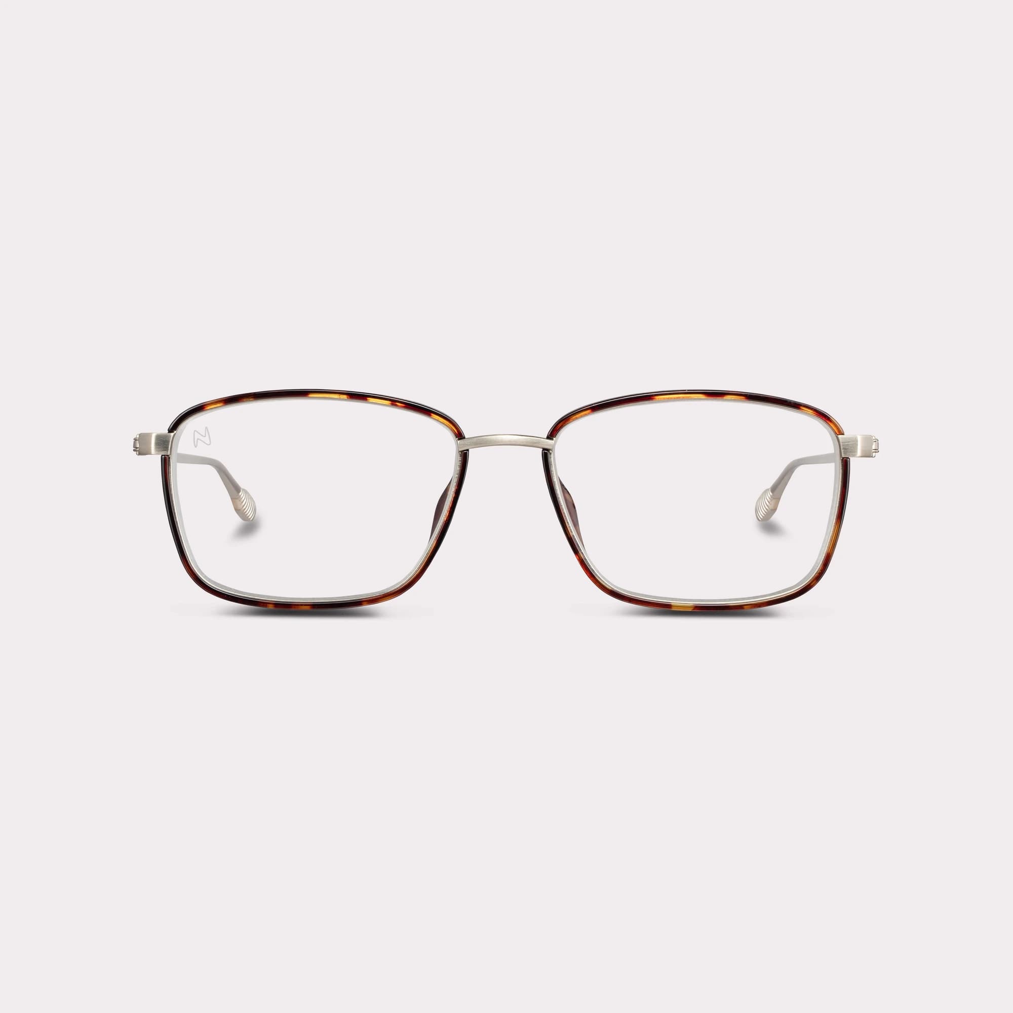 Une paire de Faro Tortoise Lunettes de lecture anti-lumière bleue vue de face